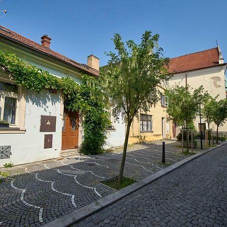 Krejcovstvi Apartment Melnik Luaran gambar
