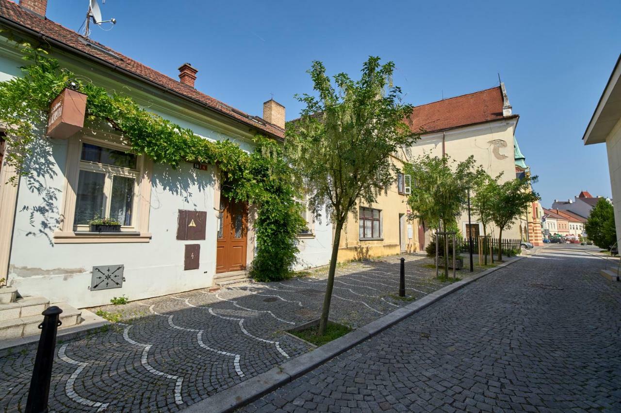 Krejcovstvi Apartment Melnik Luaran gambar